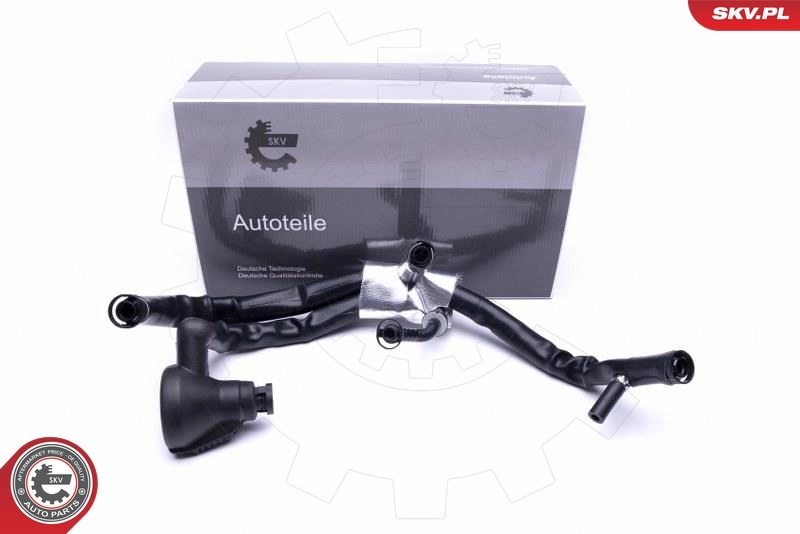 Hose, crankcase ventilation